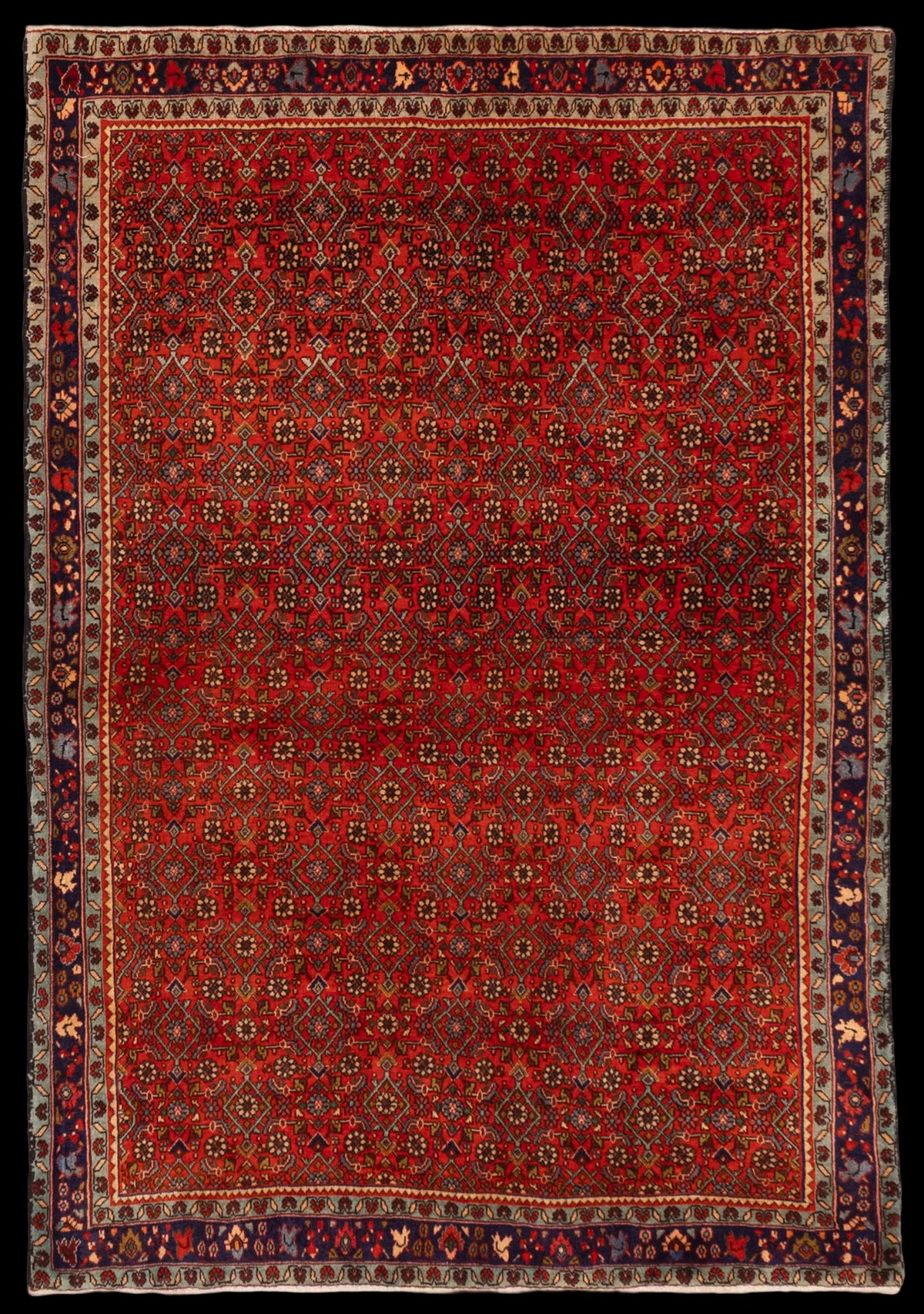 Persian Bijar hand-knotted wool rug, full flat view of red field with all-over repeating motifs