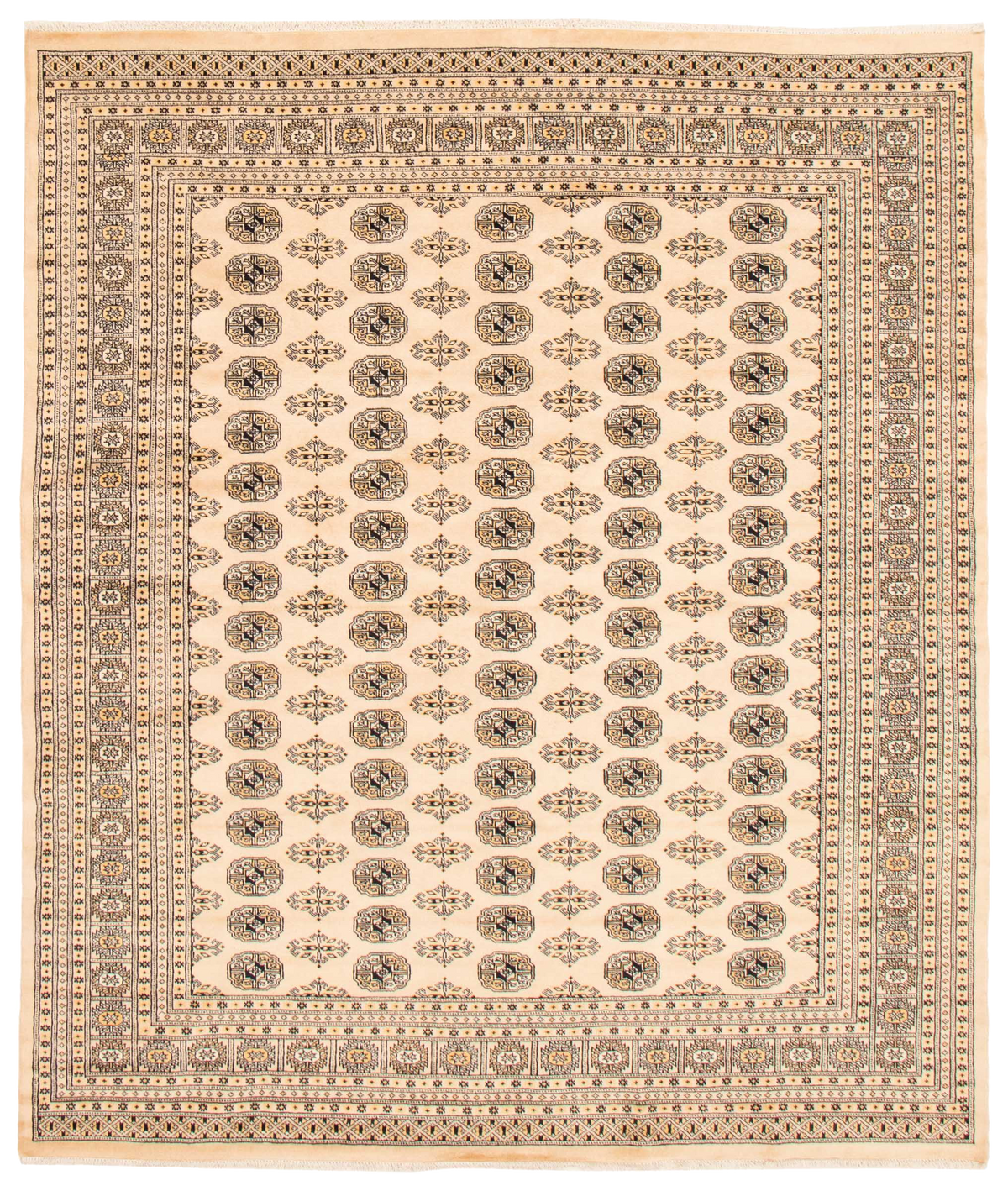 Finest Peshawar Bokhara hand-knotted wool rug, full flat view of ivory elephant foot design