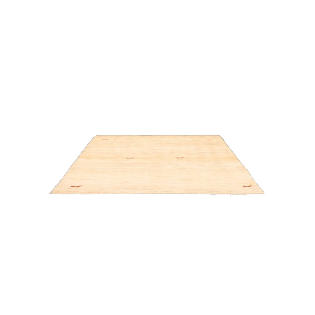 indian kashkuli gabbeh rug 3D model